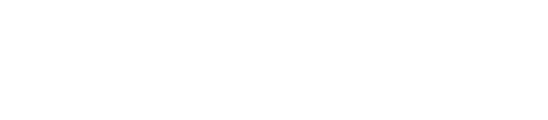 Bruno AI